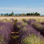 Verdon Secret - L'escapade Parfaite Appartamento Gréoux-les-Bains