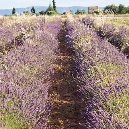 Verdon Secret - L'escapade Parfaite *