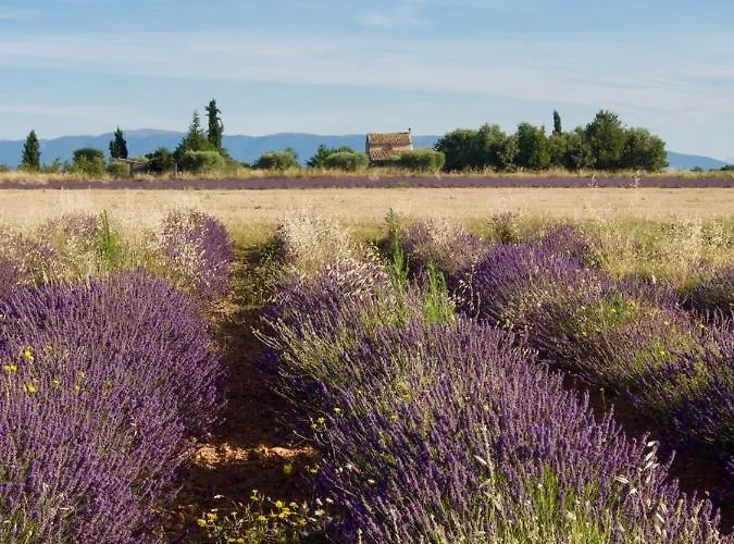 Verdon Secret - L'escapade Parfaite Apartment Greoux-les-Bains